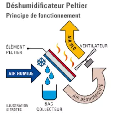 Diagramme expliquant l'effet Peltier dans un déshumidificateur