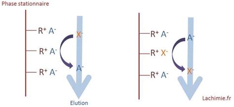 Principe de l'échange d'ions