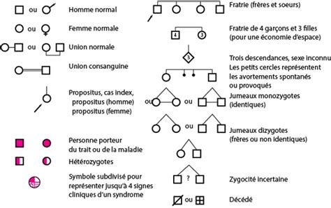 Arbre généalogique avec des symboles émotionnels