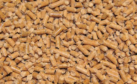 Gros plan sur des granulés de bois de haute qualité
