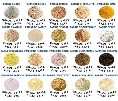 Infographie comparant l'absorption d'eau par différents types de farines