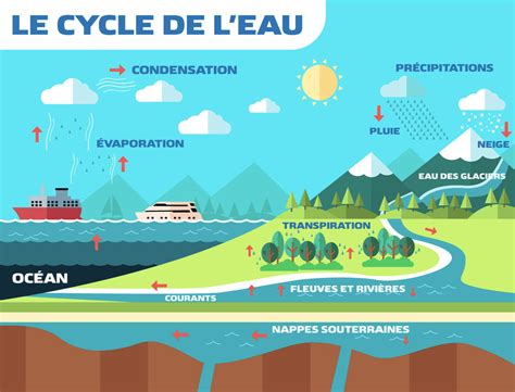 Schéma du cycle de l'eau