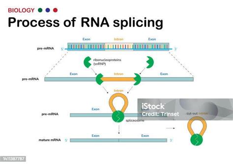 Schéma illustrant le concept de 