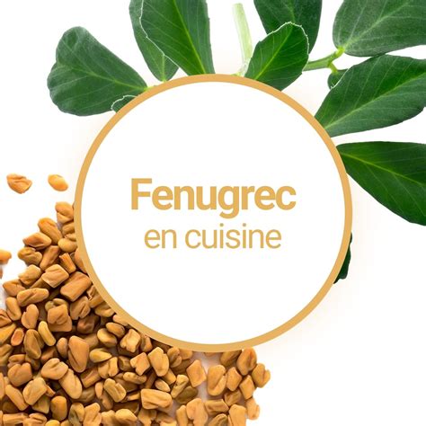 Graines de fenugrec