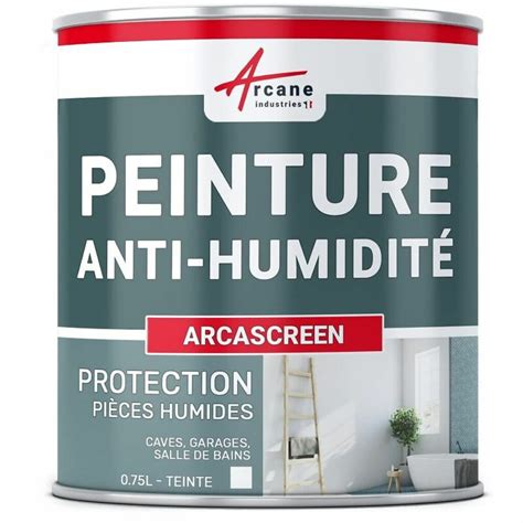 Comparatif des propriétés des peintures anti-humidité, microporeuses et hydrofuges