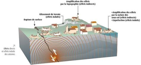 Schéma d'une campagne sismique