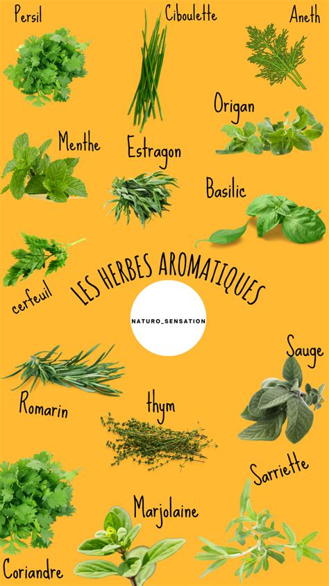 Graphique représentant les différents composés aromatiques d'un fruit