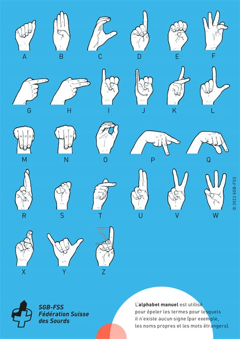 Grenier avec des signes d'infestation