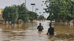 Paysage verdoyant au Sénégal pendant la saison des pluies