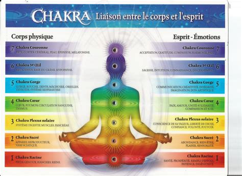 Schéma des Chakras