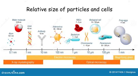 Illustration montrant différentes tailles de particules capturées par divers filtres