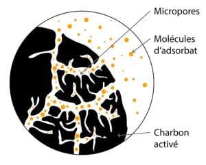 Structure microscopique du charbon actif
