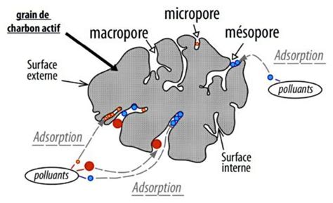 Schéma illustrant l'adsorption de polluants par le charbon actif