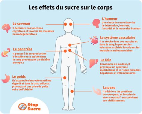 Infographie montrant les effets d'un air trop sec sur le corps humain et les objets.