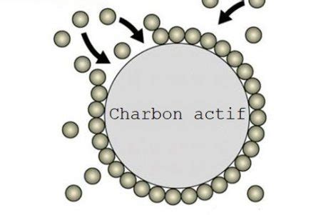 Représentation moléculaire de l'adsorption sur du charbon actif