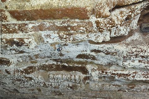 Cristaux de salpêtre sur un mur de cave